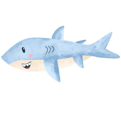 Watercolor blue shark illustration