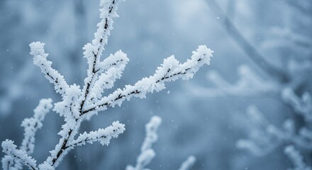 Obraz premium Frostcovered tree branches with detailed ice crystals stand out against a blurred snowy background