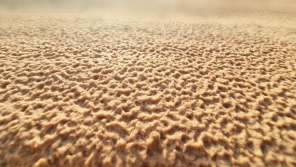A low-angle, eye-level macro shot of a rough and textured sandy surface, resembling a desert or beach with a shallow depth of field