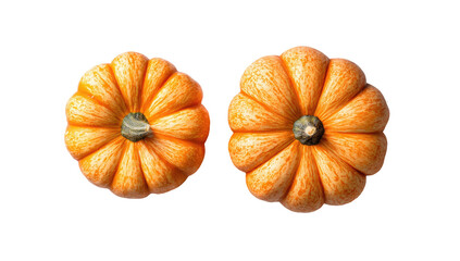 Two small orange pumpkins