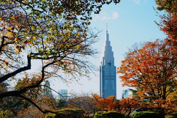 Obraz premium タワーと紅葉の木々