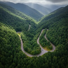Drone aerial view of a winding road cutting through green forested mountains, cinematic landscape