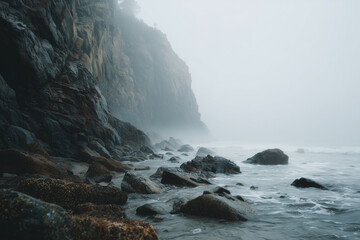 Fototapeta premium Elevation shot of foggy seaside cliff