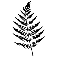 Naklejka premium Elegant Fern Outline Vector Design
