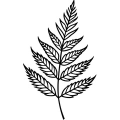 Elegant Fern Outline Vector Design