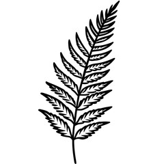 Elegant Fern Outline Vector Design