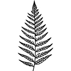 Fototapeta premium Elegant Fern Outline Vector Design