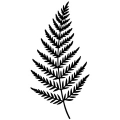 Elegant Fern Outline Vector Design