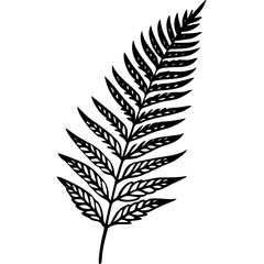Obraz premium Elegant Fern Outline Vector Design