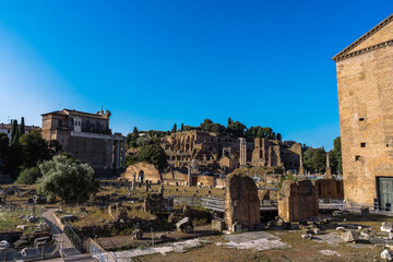 Fototapeta premium Ancient Roman Forum ruins under a clear blue sky, showcasing historical architecture and archaeological site with stone structures.