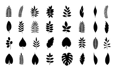 Collection of Black Silhouette Leaf Icons and Botanical Illustrations