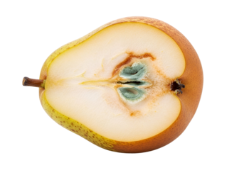 A close-up view of a pear half, showcasing the interior decay with a noticeable patch of mold.