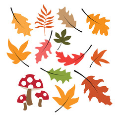 autumn leaves set