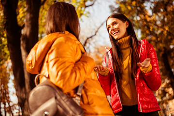 Young women enjoying an outdoor autumn stroll in a park surrounded by vibrant foliage under sunlight