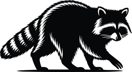 A walking Raccoon animal silhouette vector illustration isolated on white background