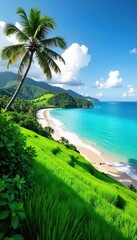 Sri Lanka Paradise Lush Rice Paddies Meet Turquoise Ocean Under a Vibrant Tropical Sky