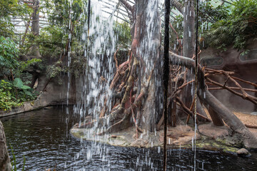 Water cascades down in a lush indoor jungle scene, evoking a serene and vibrant natural environment...