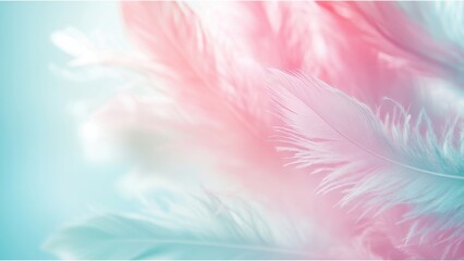Obraz premium colorful feathers background
