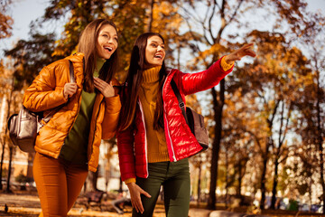 Joyful young women exploring a vibrant autumn park together, enjoying nature and friendship during a sunny outdoor walk