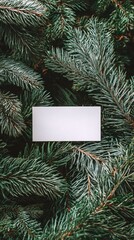 Blank card nestled among lush evergreen branches, perfect for holiday greetings, invitations, or personal messages during the festive season. Capture the spirit!