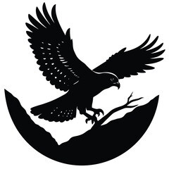 Bald Eagle Flying Soon Eagle Detailed black-and-white line art of a bald eagle in mid-flight with wings fully spread and talons forward, dynamic perspective, crisp vector-ready ink outlines, high-cont