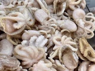 Indulge in a delightful Frozen Seafood Medley featuring Baby Octopuses and various Cephalopods. Detailed closeup view of frozen baby octopuses, highlighting their distinct shapes and unique textures