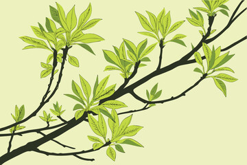 Fototapeta premium Vector art of branches adorned with vibrant green leaves, symbolizing the beauty of nature, the arrival of spring, and the promise of growth and renewal