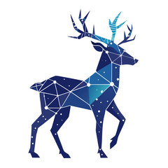 vector illustration of a horse on a white background