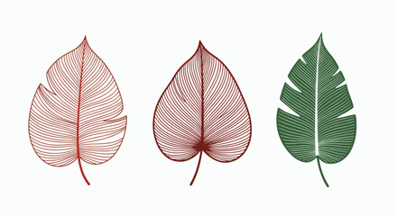 Obraz premium Elegant tropical leaf illustrations for modern design projects in vibrant green and terracotta tones