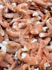 Indulge in a Fresh Shrimp Pile that is Perfectly Crafted for Seafood Lovers Everywhere. A vibrant and tempting pile of fresh shrimp, just waiting to be transformed into delicious seafood dishes