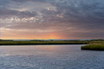 Assateague Island National Seashore, protected natural barrier island ecosystem of Maryland and Virginia. Bands of feral horses, called Chincoteague ponies or Assateague horses, freely roam.