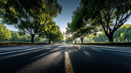 Fototapeta premium Scenic Road Perspective with Trees and Sunlight, Creating a Sense of Journey and Exploration
