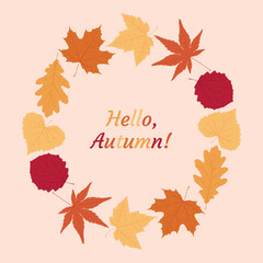 Round border, frame or wreath of fallen various colourful autumn leaves on a light beige background. Vector seasonal illustration. Template for posters, cards and holiday decor. Hello, Autumn!