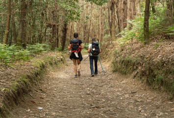 Female hikers walk the Camino de Santiago, crossing the forests of Galicia to reach Santiago de Compostela, Spain.
