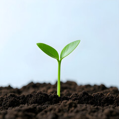 Vibrant green sprout emerging from rich dark soil, symbolizing new beginnings and growth