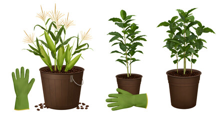 FARMING - Potted green plants and gardening gloves isolated on white background, perfect for gardening blogs and plant care tutorials