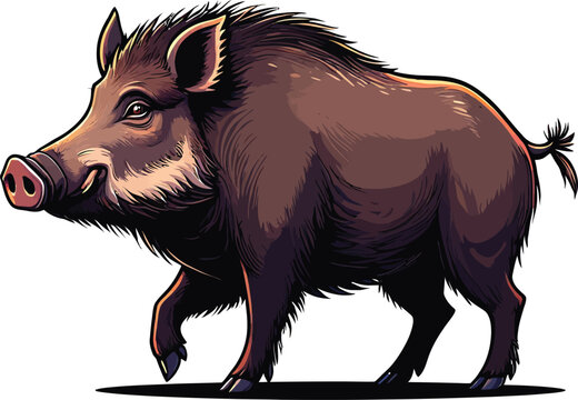 Cute cartoon a illustrator vector wild boar