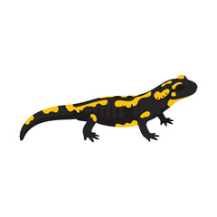 Cartoon yellow and black spotted fire salamander on white background
