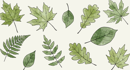 Watercolor illustration of various green leaves, showcasing botanical diversity and natural beauty.
