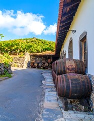 Vineyard winery exterior, sunny day