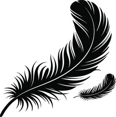 Obraz premium feather vector illustration