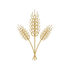 Wheat stalks vector illustration minimalist natural organic agriculture farming grain field harvest vector