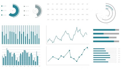Set of infographic and data visualization elements for statistic and financial reports. Analytical dashboard with charts and diagrams  on white background. 4K animation. - Powered by Adobe