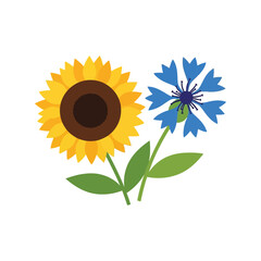 Summer flower illustration sunflower cornflower nature botanical garden floral design vector