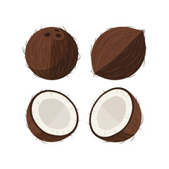 Fresh tropical coconut collection whole and halved fruit illustration vector
