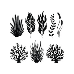 Collection silhouette botanical plants vector organic natural flora decorative elements naturalistic vector