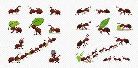 Cartoon ants performing various actions like carrying leaves and food, marching in trails, and standing in different poses.