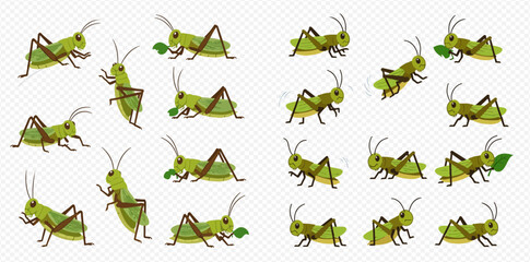 A collection of green cartoon grasshoppers illustrated in diverse poses, some eating leaves, on a transparent background.