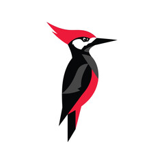 Vibrant woodpecker bird illustration simple graphic design natural wildlife vector