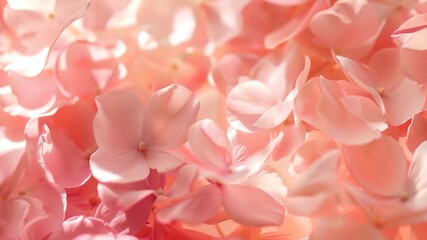 A close-up shot of a bouquet of pink flowers, ideal for use in designs featuring feminine or romantic themes